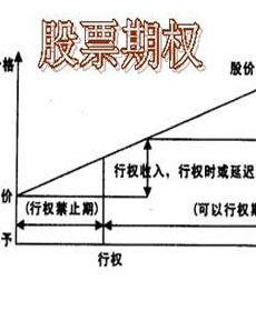 本次數(shù)字科技（大連）集團股份股票期權(quán)注銷完成情況（草案）