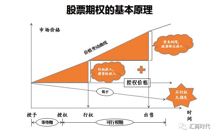 本次數(shù)字科技（大連）集團股份股票期權(quán)注銷完成情況（草案）