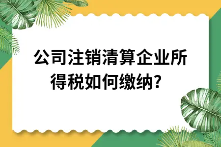 昆山公司注銷_昆山公司注銷國稅地址